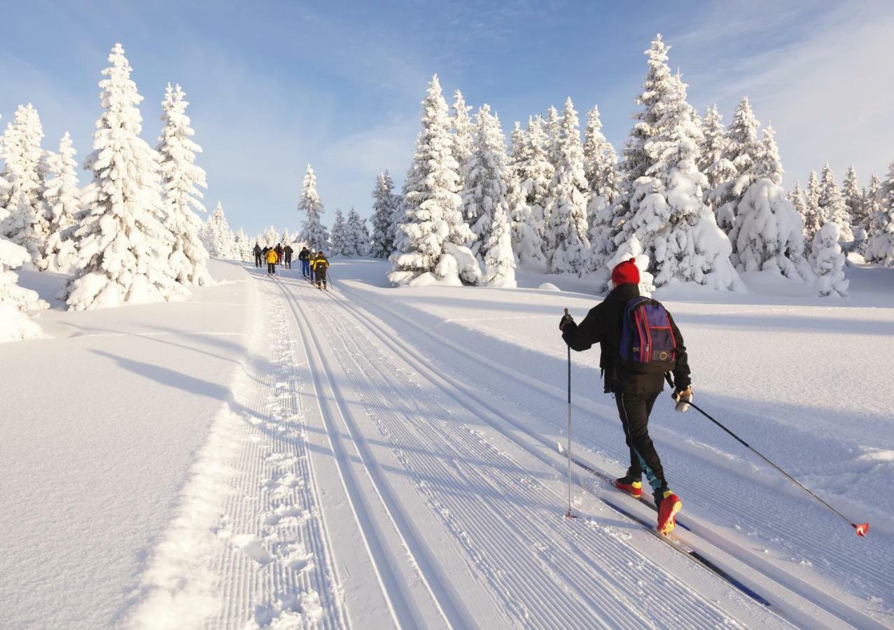 Jufa Hotel Eisenerzer Ramsau المظهر الخارجي الصورة